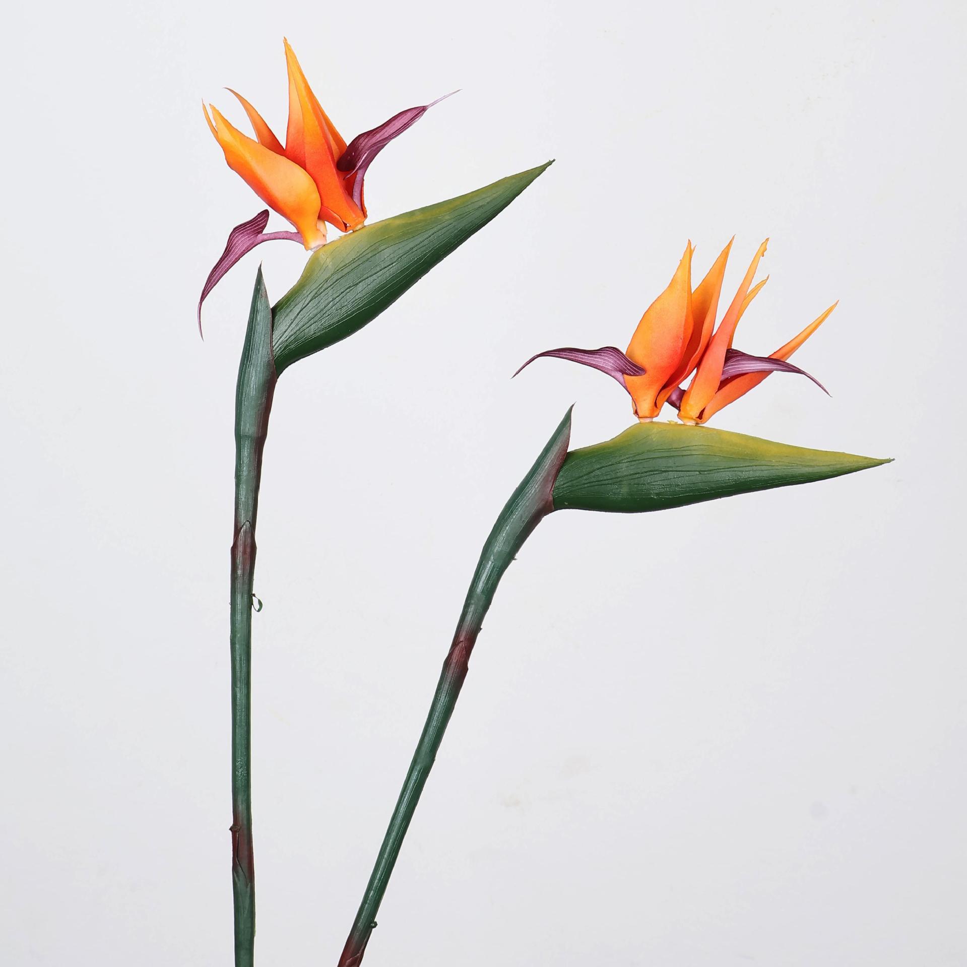 33-inch kunstmatige paradijsvo - Florist Supply Bulk recensie en prijs